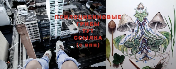 дмт Покачи