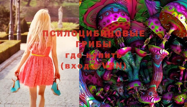 стафф Арсеньев