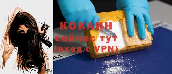 стафф Арсеньев